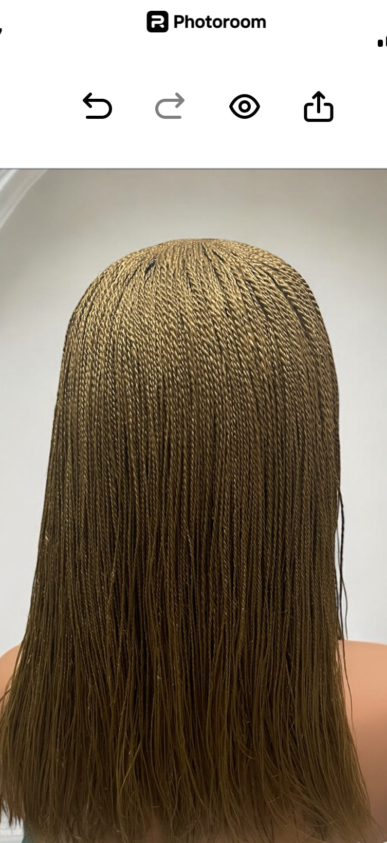 Feathers Twist Braids